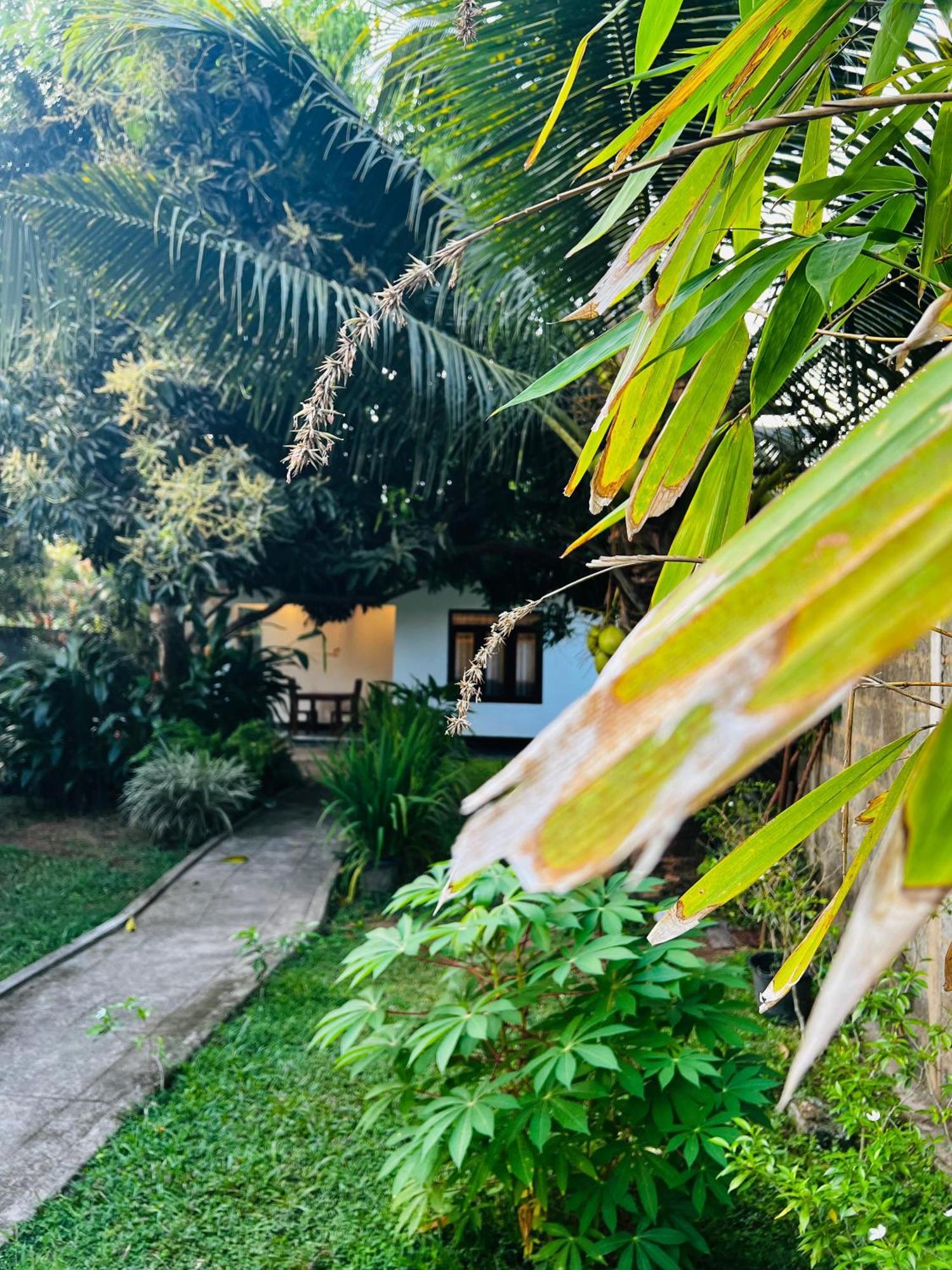 The Mango Retreat Villa Mirissa Luaran gambar