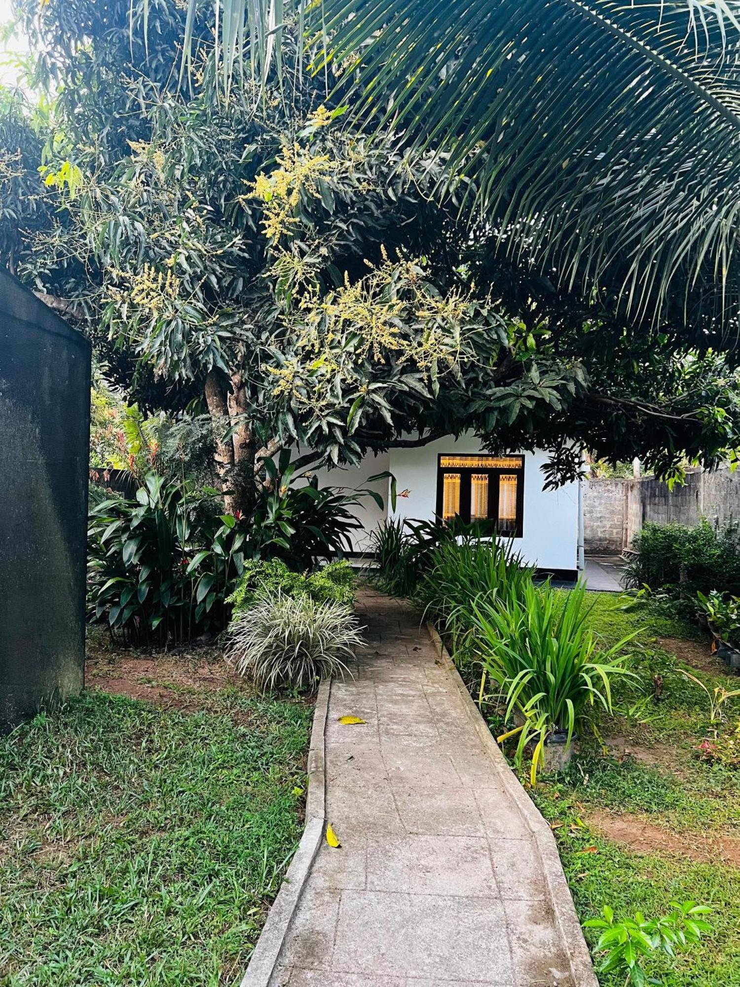 The Mango Retreat Villa Mirissa Luaran gambar